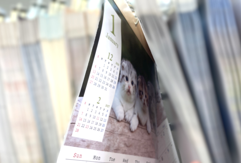 猫カレンダー壁掛け